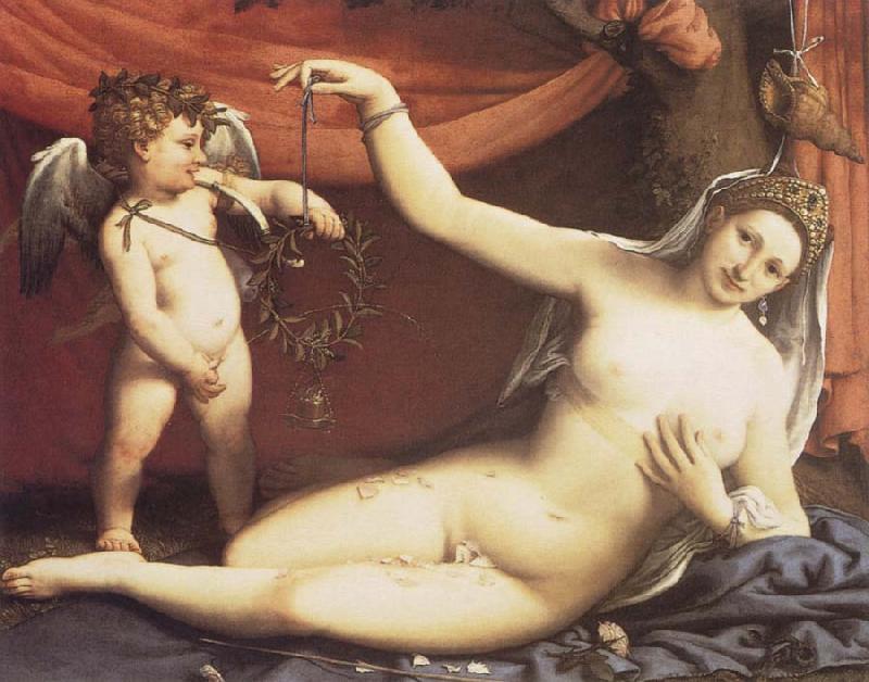 Lorenzo Lotto Venus and Cupid Sweden oil painting art